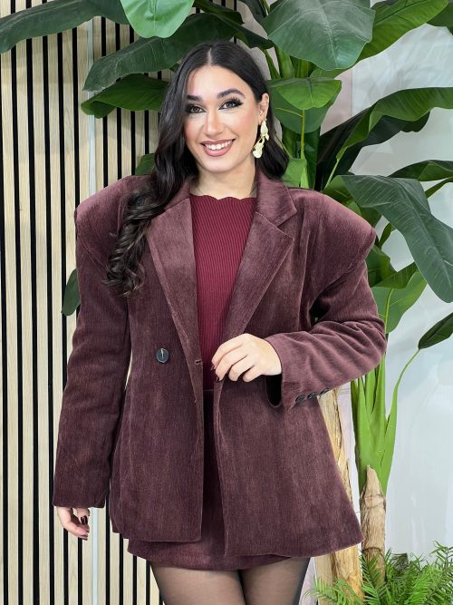 Blazer Velvet