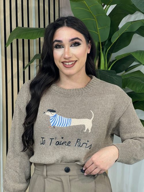 Pull Je t'aime paris